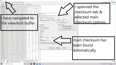 view edit buffer and seleted the mainchecksum options.jpg